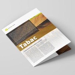 Focus - Tabac