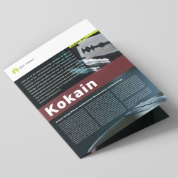 Im Fokus - Kokain