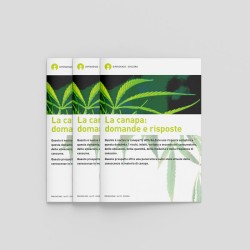 La canapa: domande e risposte